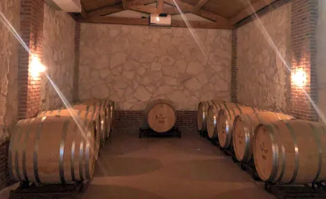 Sala de barricas de roble con muros de piedra